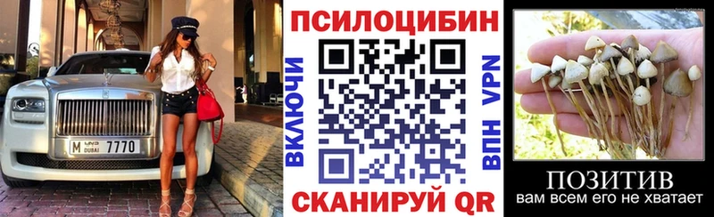 Галлюциногенные грибы Psilocybe darknet какой сайт Палласовка